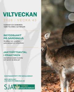 Viltveckan är tillbaka!